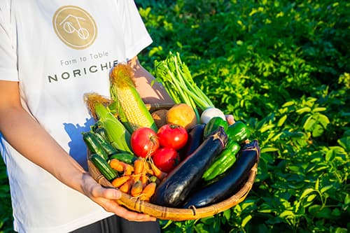 自家農園野菜
